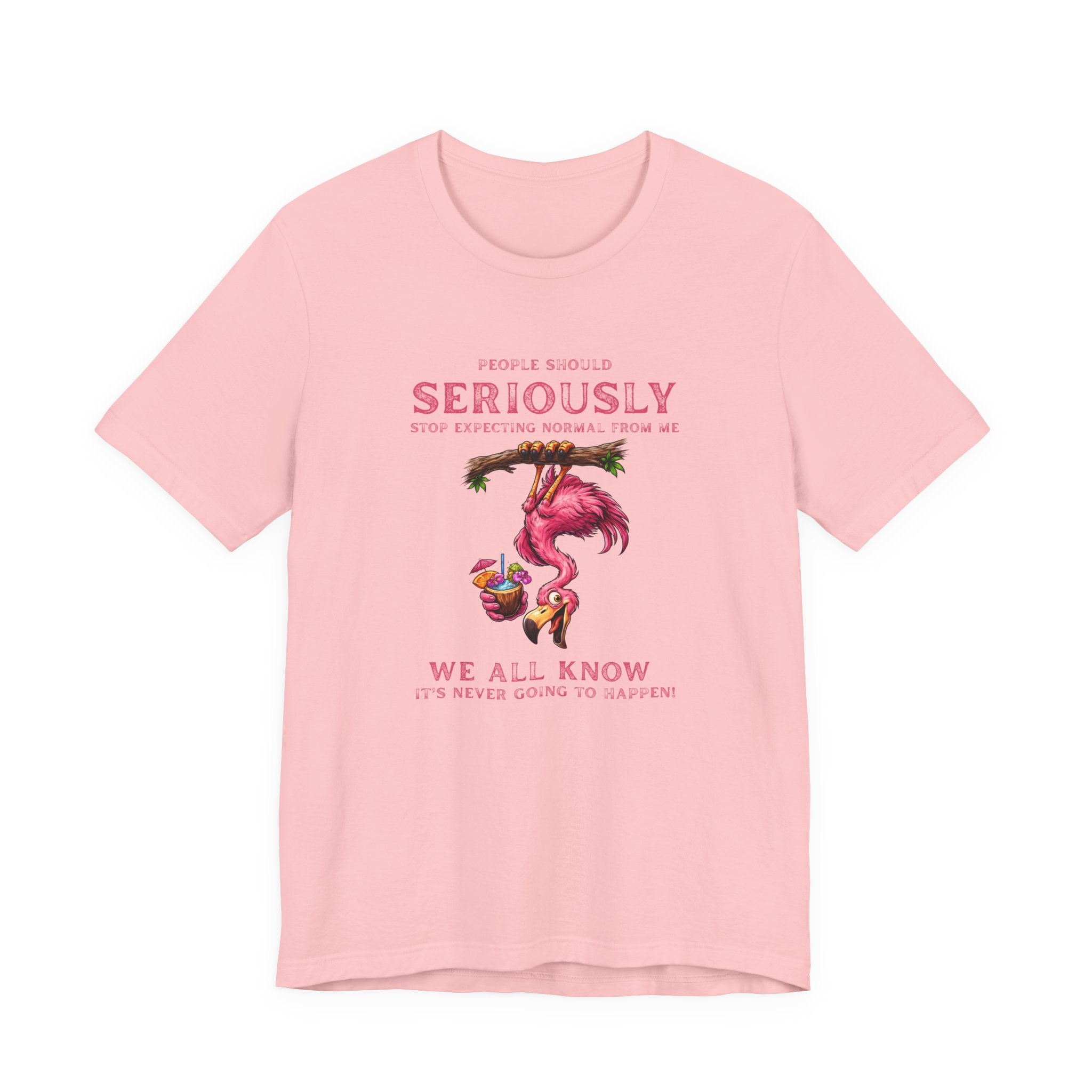 Flamingo Vibes Unisex Tee - We All Know It's Never Going to Happen Shirt