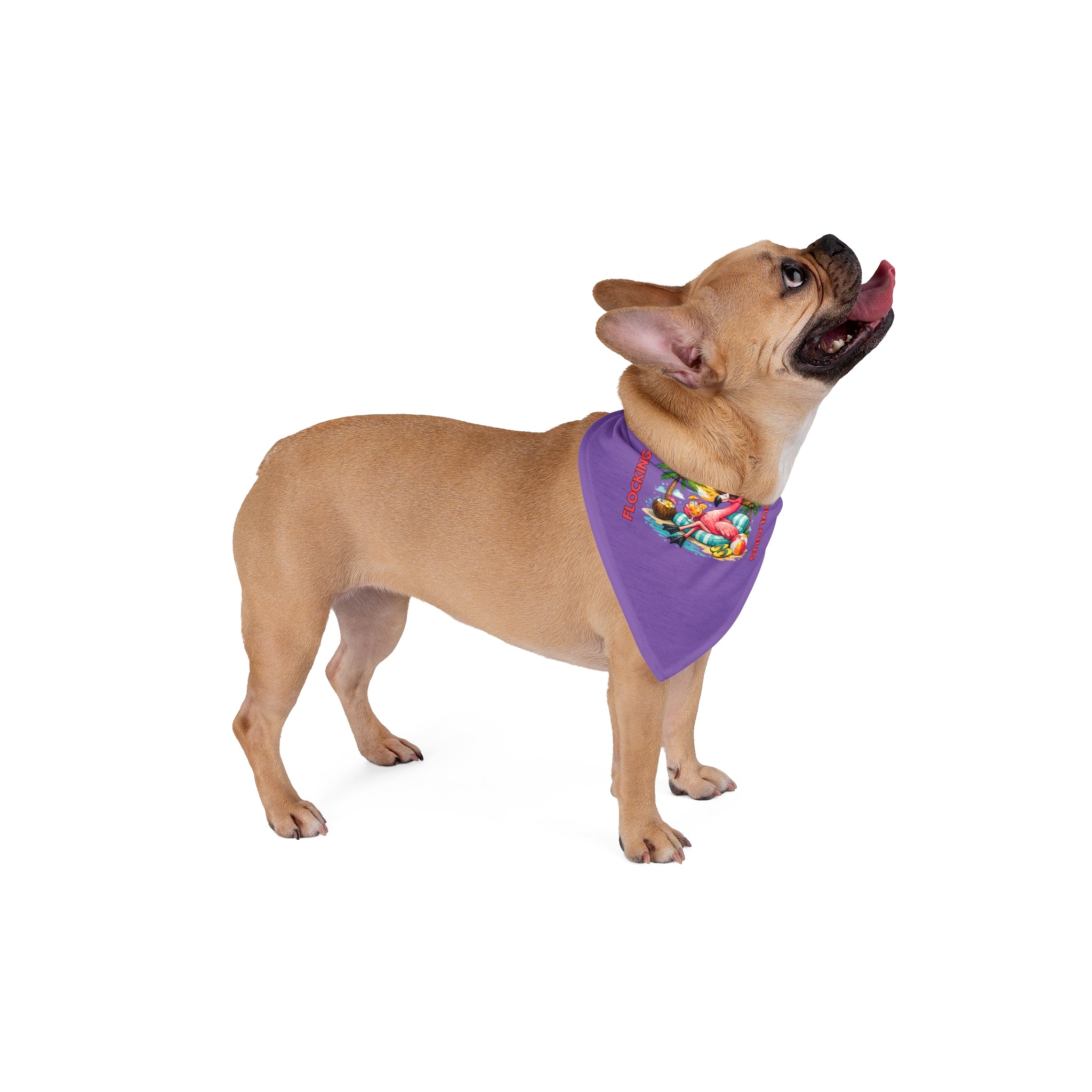 Tropical Flamingo Pet Bandana – Purple Flocking Fabulous Dog & Cat Accessory