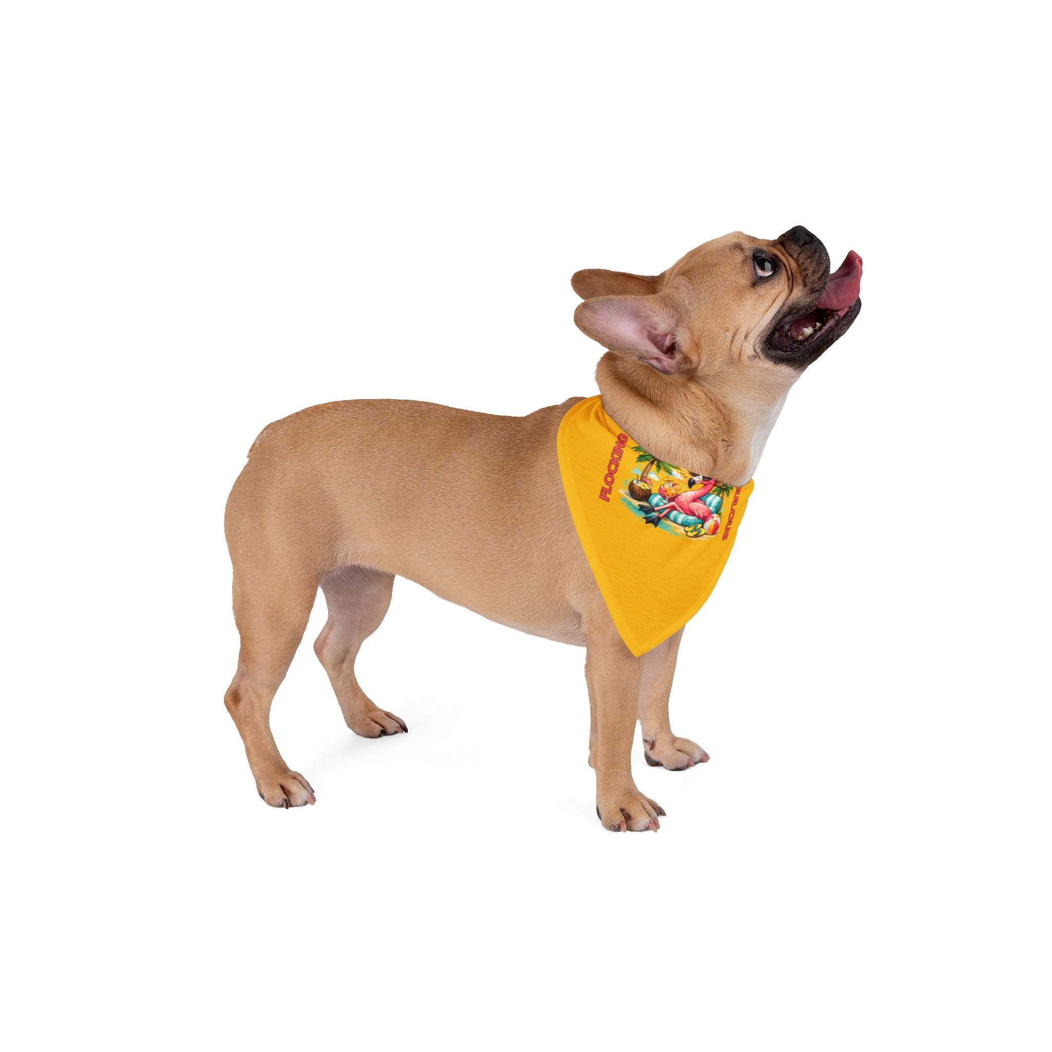 Tropical Flamingo Pet Bandana – Golden Yellow Flocking Fabulous Dog & Cat Accessory