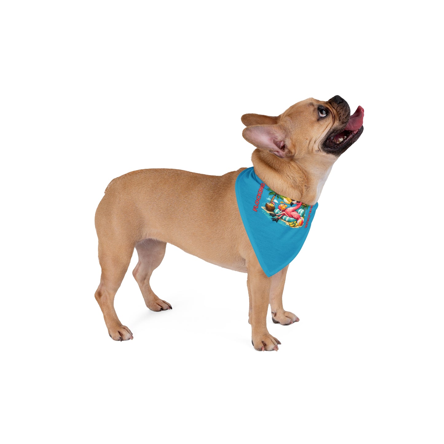 Tropical Flamingo Pet Bandana – Turquoise Flocking Fabulous Dog & Cat Accessory