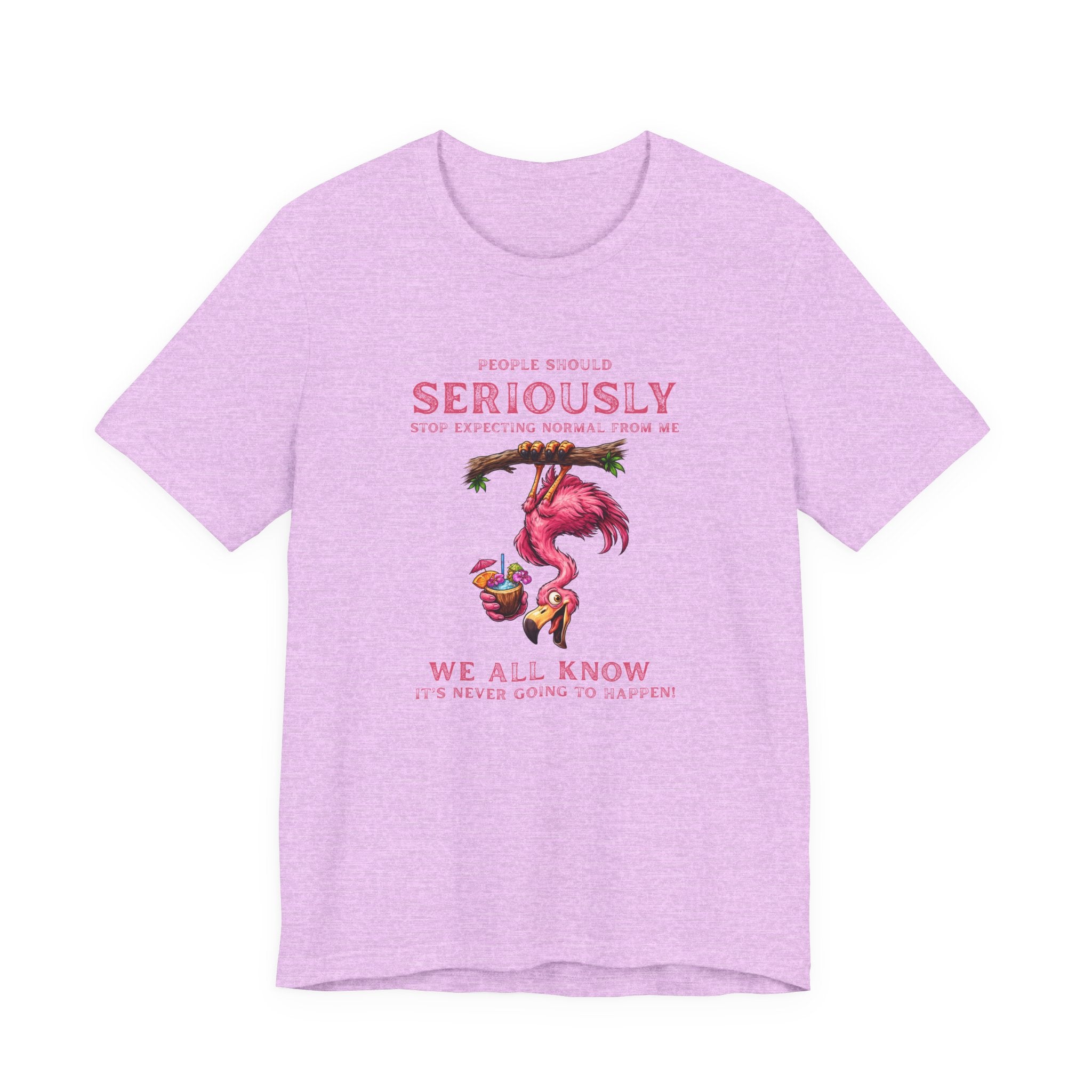 Flamingo Vibes Unisex Tee - We All Know It's Never Going to Happen Shirt